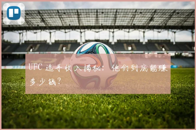 UFC 选手收入揭秘:他们到底能赚多少钱?